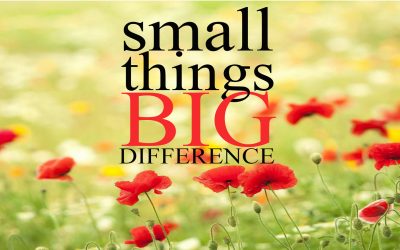 Small Things BIG Difference by Justin Renton