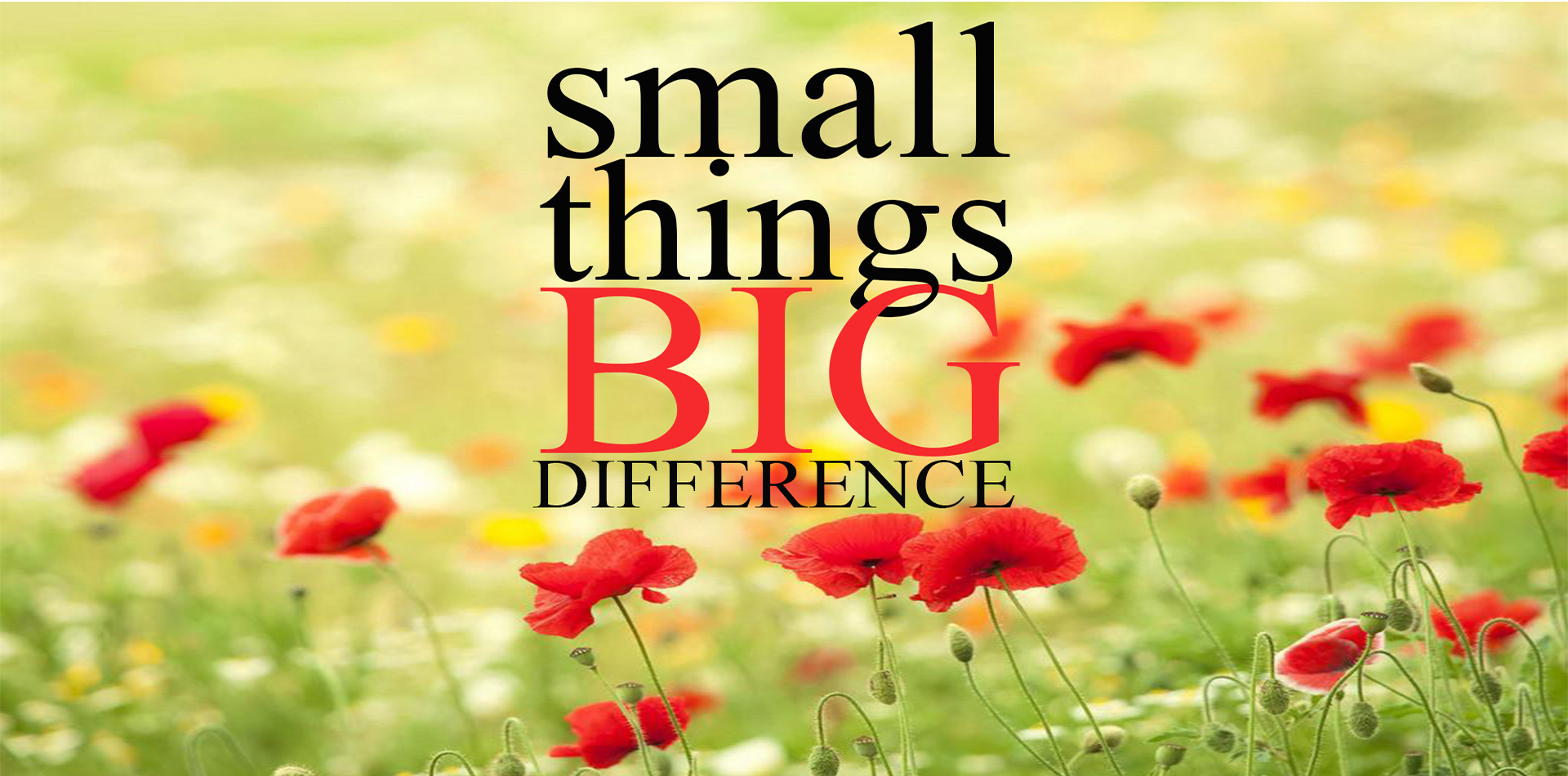 Small Things BIG Difference by Justin Renton