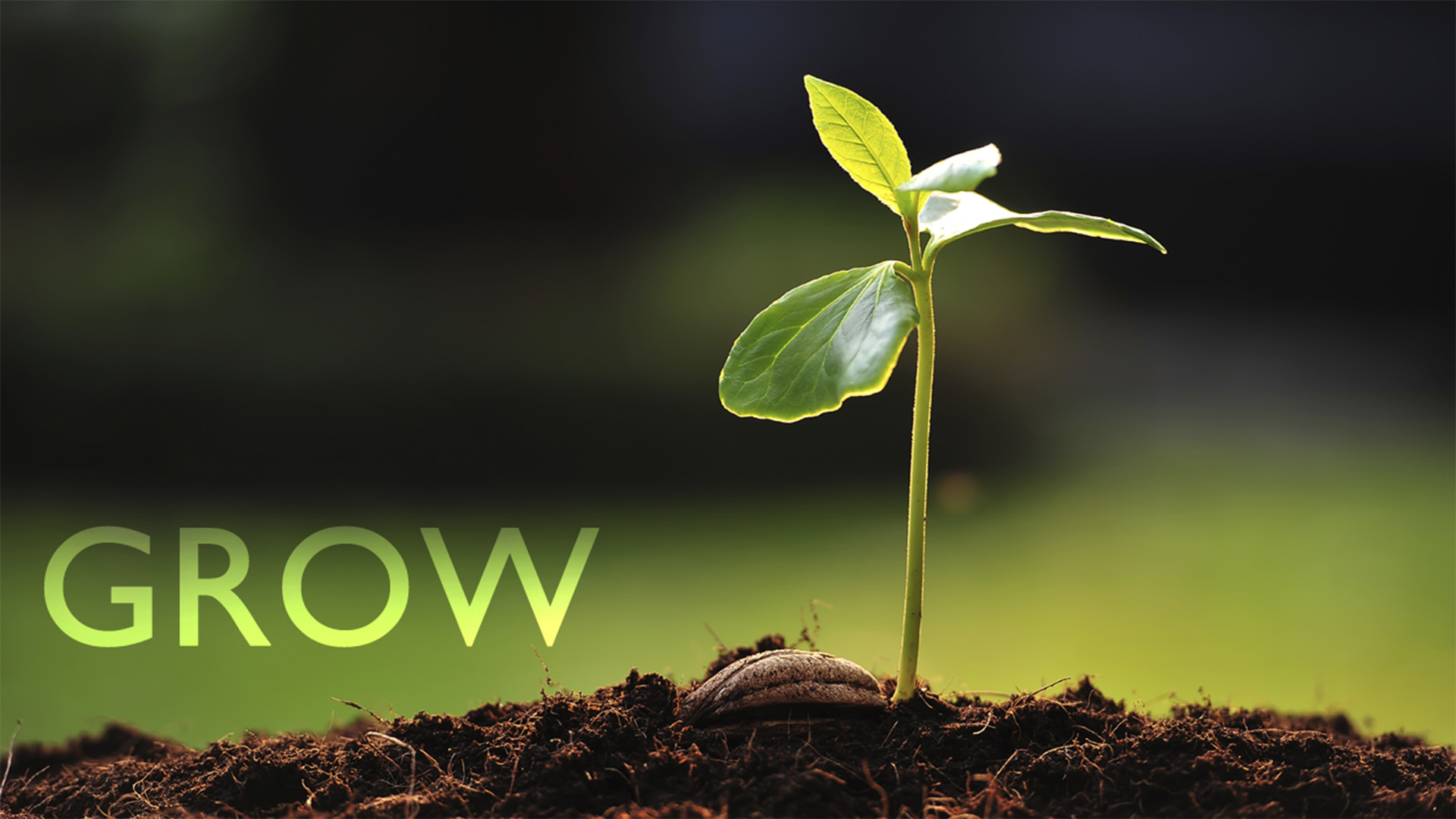 Grow