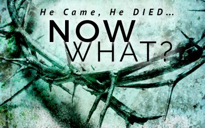 He came, He died, Now what? – Werner Vos